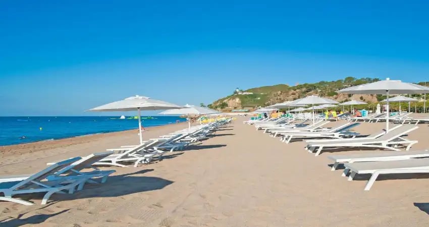 Kaktus Playa view 3
