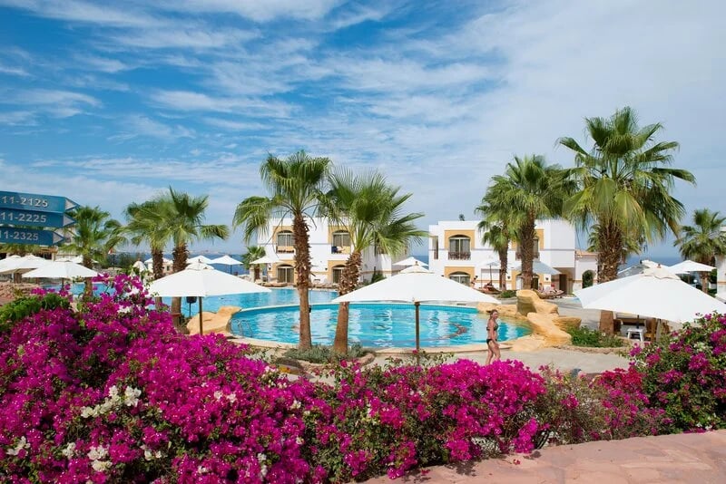 A tranquil Red Sea escape combining adults-only relaxation, vibrant coral reefs and an ultra-all-inclusive holiday experience view 2