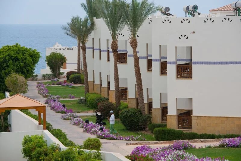 A tranquil Red Sea escape combining adults-only relaxation, vibrant coral reefs and an ultra-all-inclusive holiday experience view 3